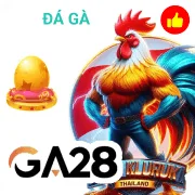 b88 Game 06
